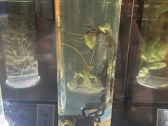 -广东中医药博物馆