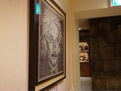 -信不信由你博物馆