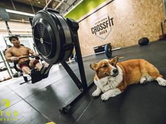 -Stud CrossFit(泰丰大厦店)