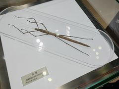 -上海昆虫博物馆