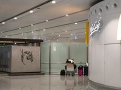 -麦当劳(北京大兴机场二层国内到达(安检外)店)