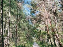 -帽儿山国家森林公园