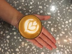 piccolo-sugarman espresso素饮糖人高新咖啡工厂