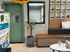 -半岛宠物医院24小时·内窥镜·牙科·碎石中心(府城大道店)