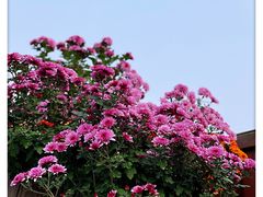 -海窝子古镇