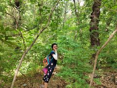 -大觉寺-停车场