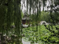 -莲池书院博物馆