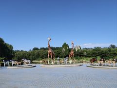 -北京野生动物园