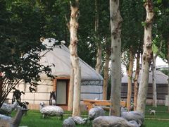 -九十九顶毡房(阜石路店)