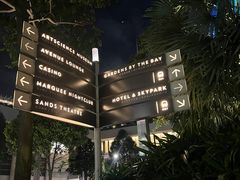 -新加坡摩天观景轮