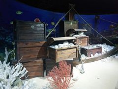 -海南分界洲岛旅游区