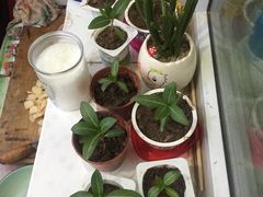 炸豆腐-美玲拉面(鞍山西道店)