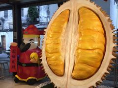 -都念榴莲·城市榴莲