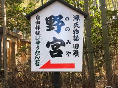 -野宫神社