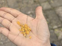 -壹笑茶庄·农家菜土菜杭帮菜