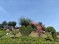 -佰味龙自助烤肉火锅(寮步店)