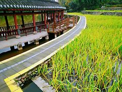 -龙头寺公园