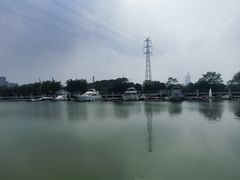 -长洲岛