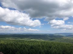 -塞罕坝国家级自然保护区