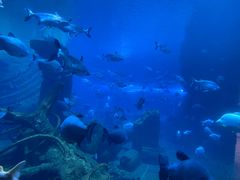 -郑州银基国际旅游度假区