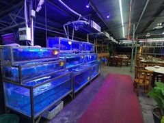 -八仔大富楼·河鲜(西江店)