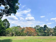-中国科学院西双版纳热带植物园