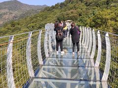 -大余丫山旅游度假区