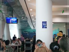 大堂-贝林大翅鲸简餐厅(国家海洋博物馆店)