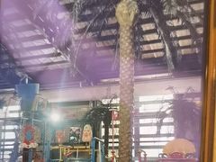 -南宫温泉水世界