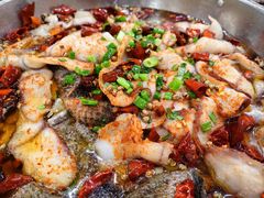 -小唐小四川水煮鱼(北三路店)