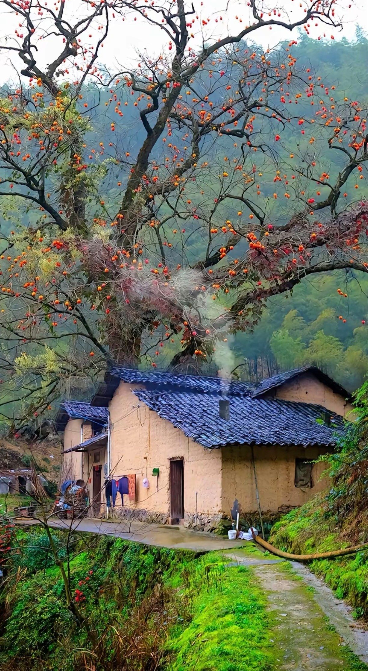 南方冬乡,土屋情长