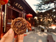 -湛山寺