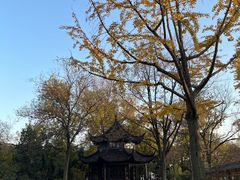 -拙政园