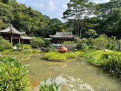 -广州市白云山风景名胜区