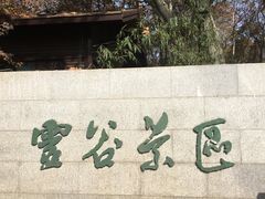 -灵谷景区
