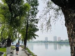 -莫愁湖公园