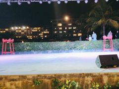 -渔家火锅·海鲜自助餐·演艺(亚龙湾天域酒店)