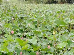 -3W咖啡(国家软件园店)