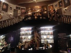 -雪灵魔法世界SHELLY’S TAROT(大良桂畔里店)