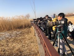 -绿堤公园