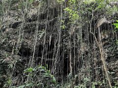-佛山市三水区大南山森林公园