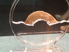-南越王博物院(王宫展区)