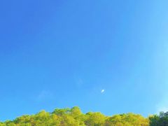 -妙峰山风景名胜区