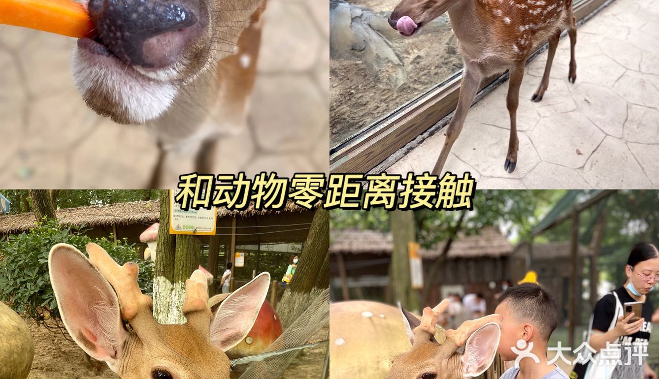 武汉溜娃好去处🔥孩子最爱‼️建议收藏㊙️