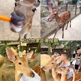 武汉溜娃好去处🔥孩子最爱‼️建议收藏㊙️