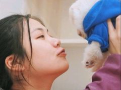 -瑞派康怡24h宠物医院·犬猫医疗中心·微创绝育(瑞景分院)