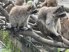 -宁波野生动物园