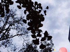 -佬钱湾仔(衣裳街店)