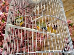 -鸥迪足道(老虎滩店)