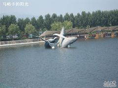 -秦皇岛乐岛海洋王国